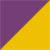 Purple/Gold
